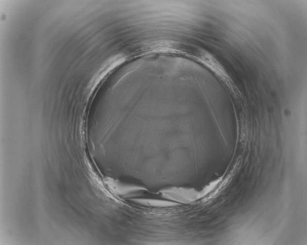 X0000059100806200510211631