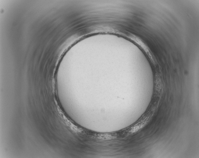 X0000059100807200510211631