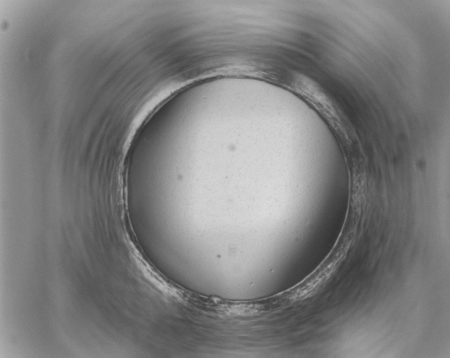 X0000059100808200510211631