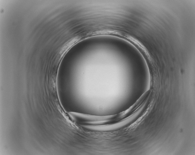 X0000059100809200510211631