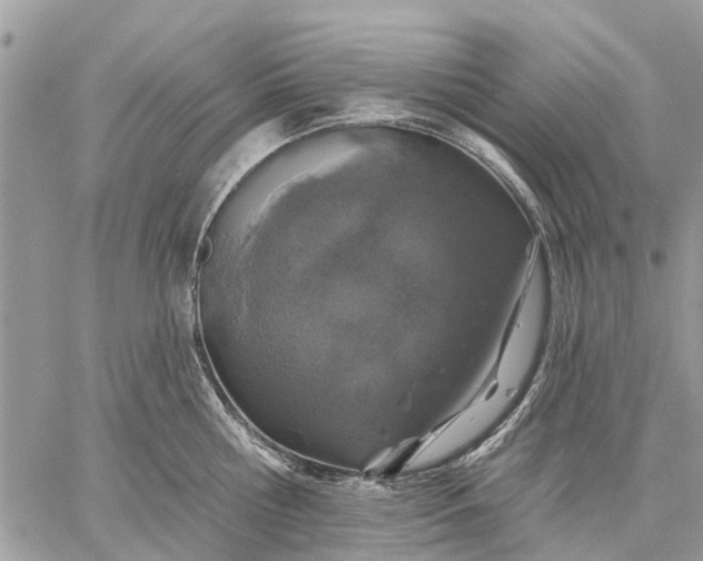 X0000059100810200510211631