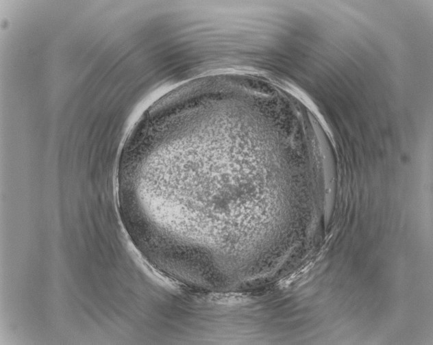 X0000059100811200510211631