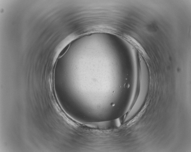 X0000059100812200510211631