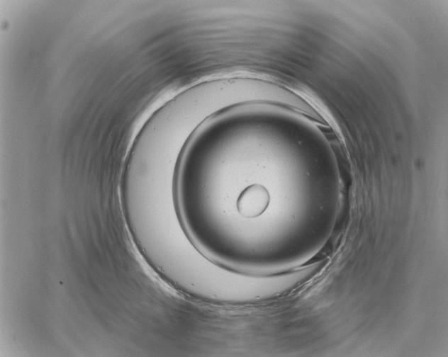 X0000059100813200510211631