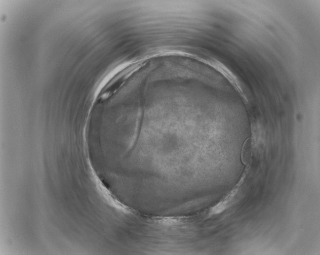 X0000059100814200510211631