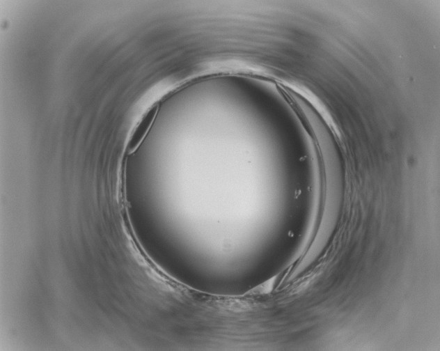 X0000059100815200510211631