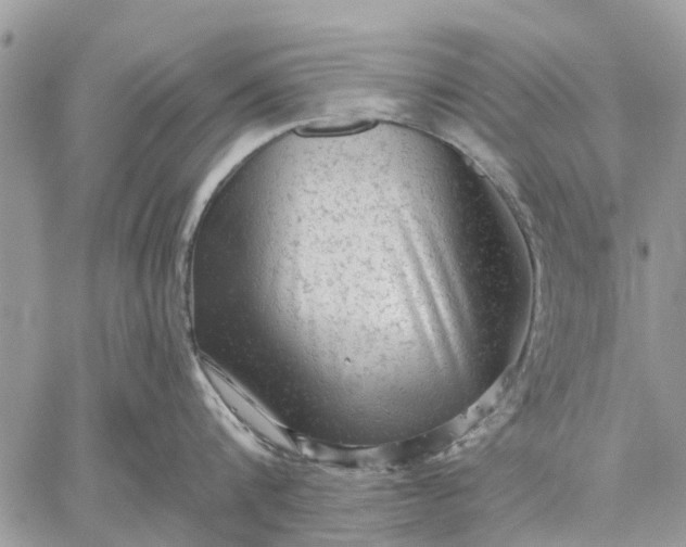 X0000059100816200510211631