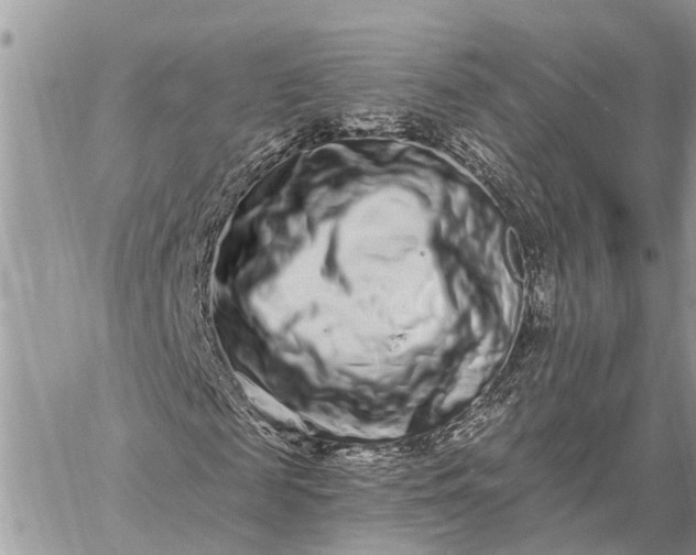 X0000059100817200510211630