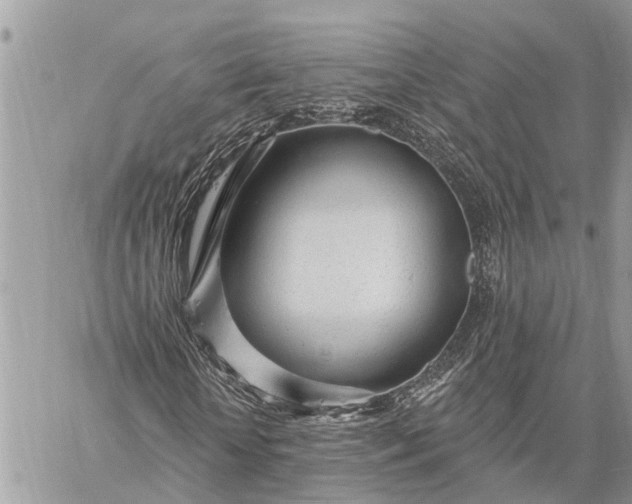 X0000059100818200510211630