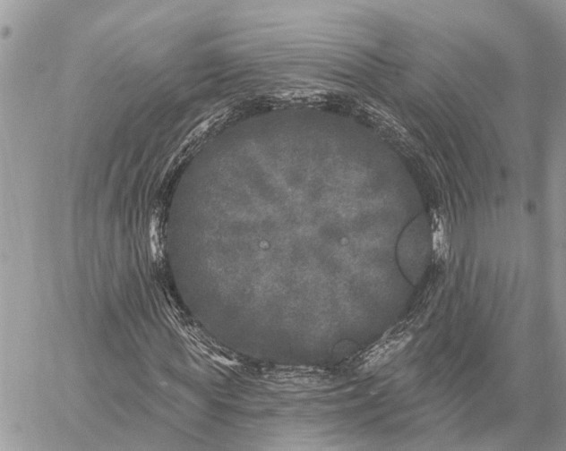 X0000059100819200510211630