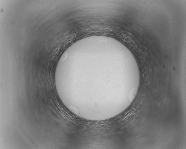 X0000059100820200510211630