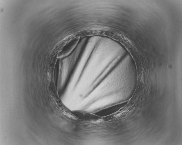 X0000059100821200510211630