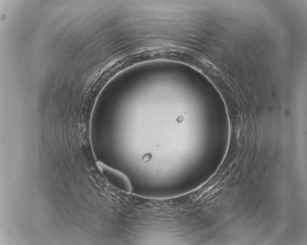 X0000059100822200510211630