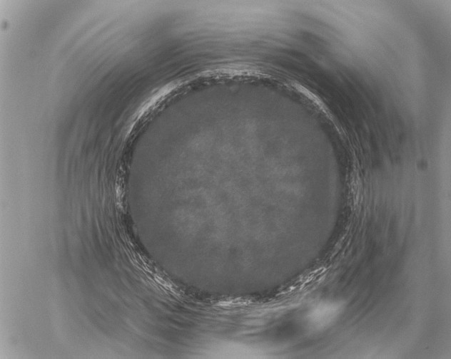 X0000059100823200510211630