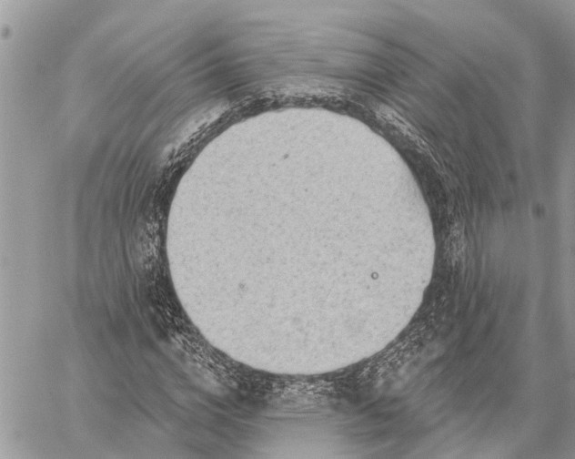 X0000059100824200510211630