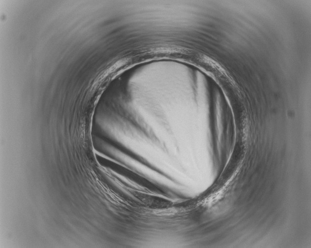 X0000059100825200510211630