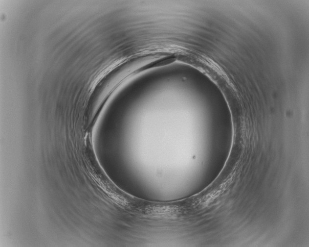 X0000059100826200510211630