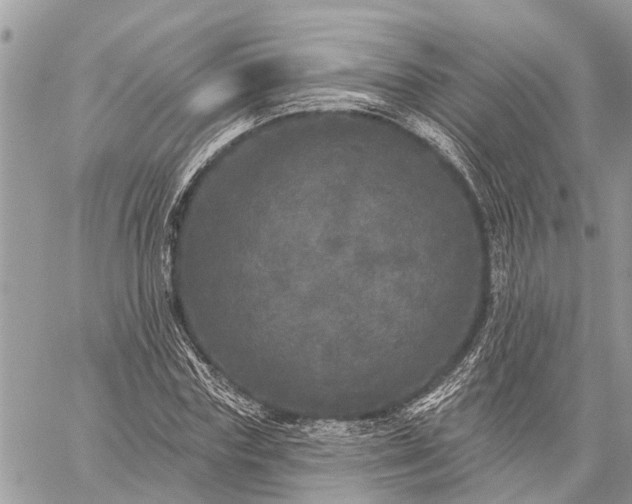 X0000059100827200510211630