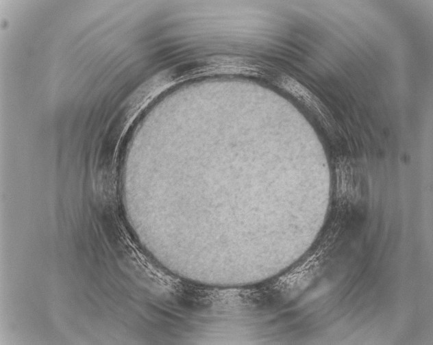 X0000059100828200510211630