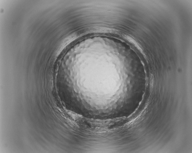 X0000059100829200510211630