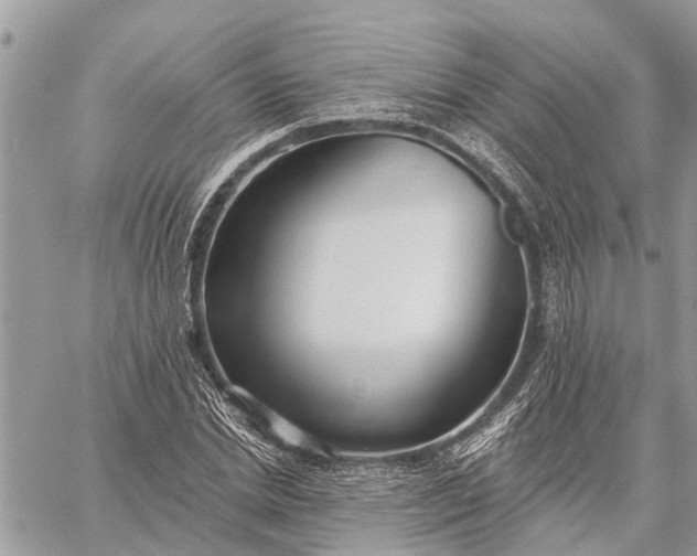 X0000059100830200510211630