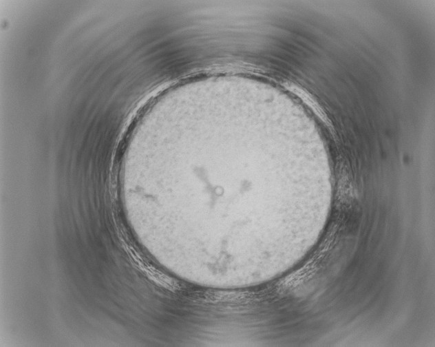 X0000059100832200510211630