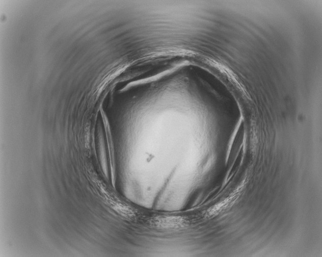 X0000059100833200510211630