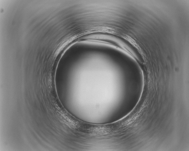 X0000059100834200510211630