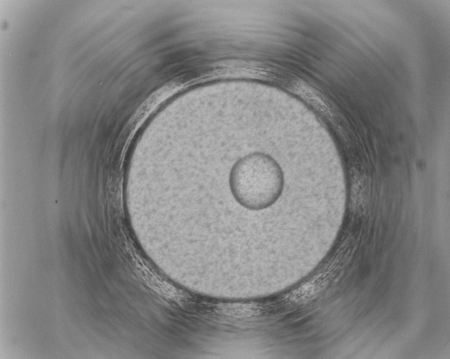 X0000059100836200510211630