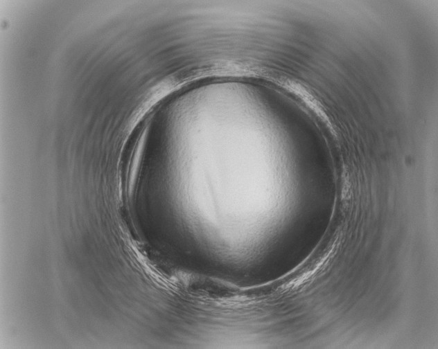 X0000059100837200510211630