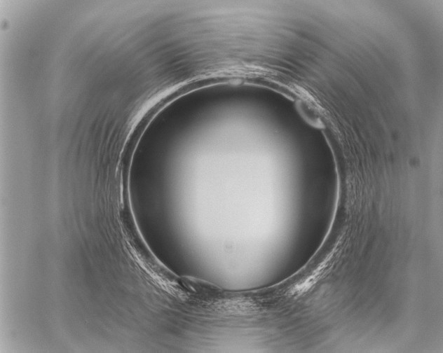 X0000059100838200510211630