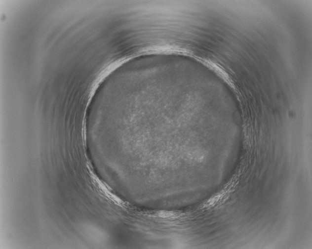 X0000059100839200510211630