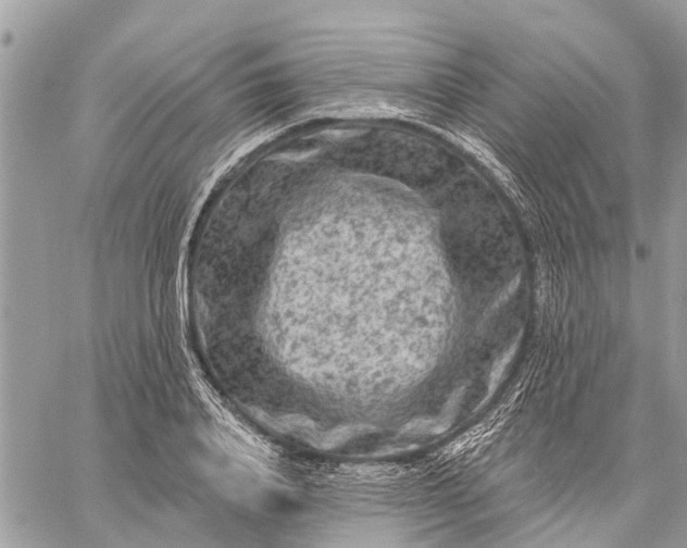 X0000059100840200510211630