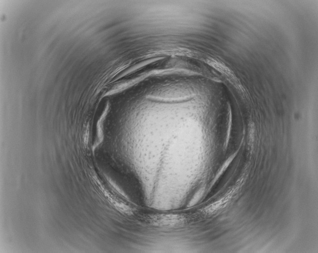 X0000059100841200510211630