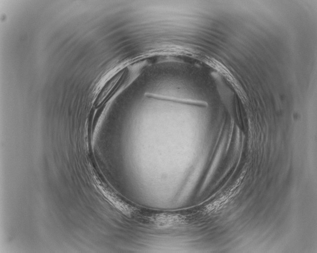 X0000059100842200510211630