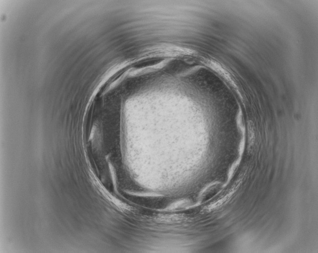 X0000059100843200510211630