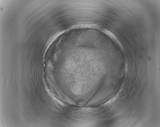 X0000059100844200510211630