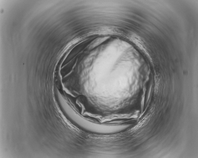 X0000059100845200510211630