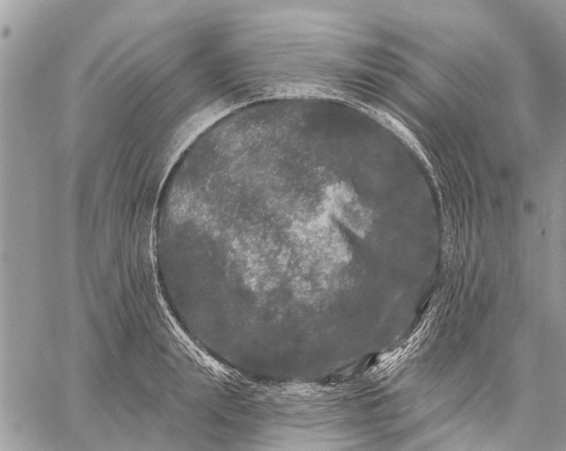 X0000059100847200510211630