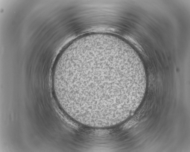 X0000059100848200510211630