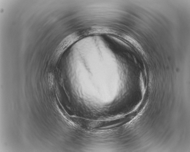 X0000059100849200510211630