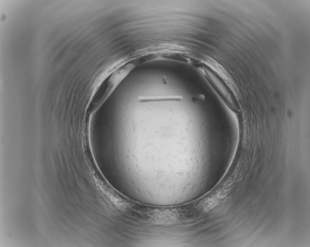 X0000059100850200510211630