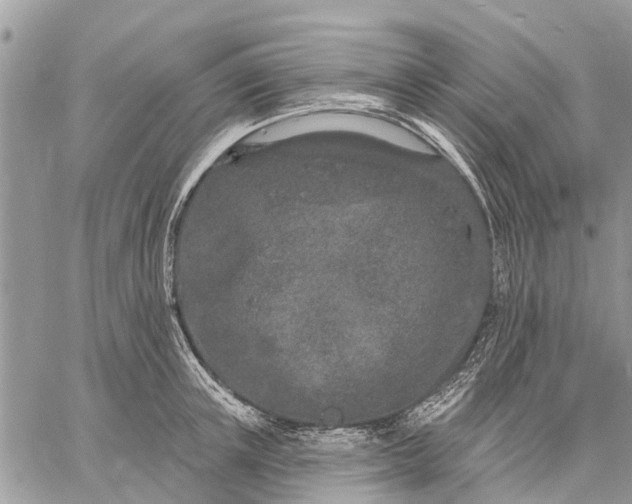 X0000059100851200510211630