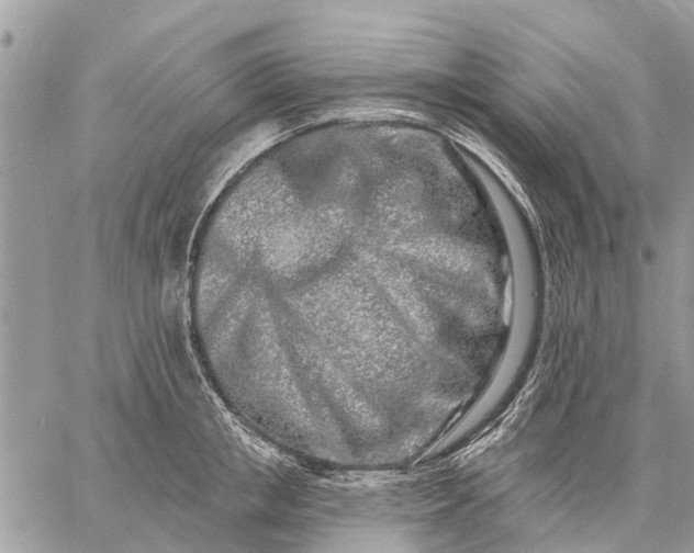 X0000059100853200510211630