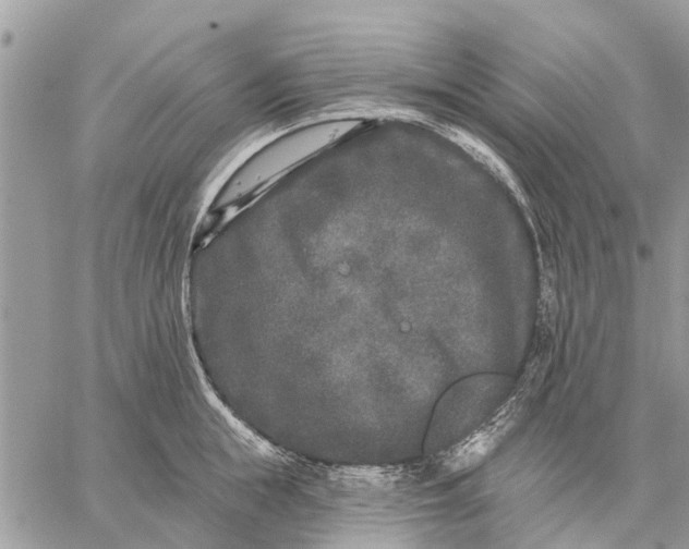 X0000059100855200510211630