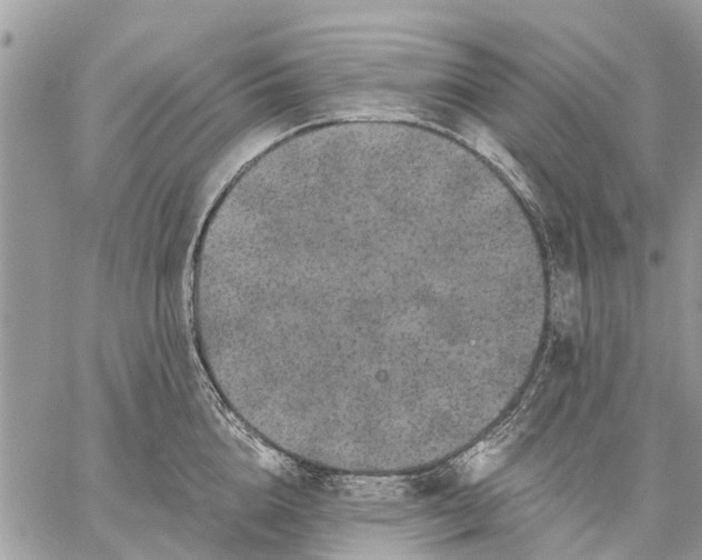 X0000059100856200510211630