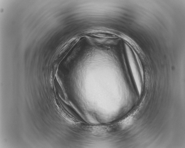 X0000059100857200510211630