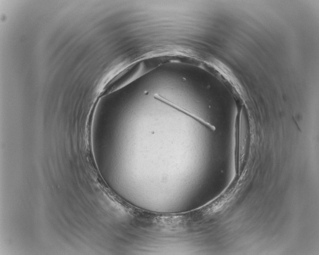 X0000059100858200510211631