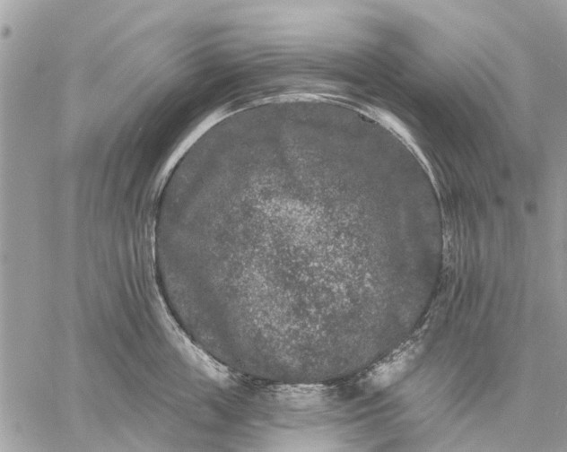 X0000059100859200510211631