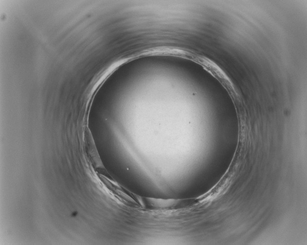 X0000059100860200510211631